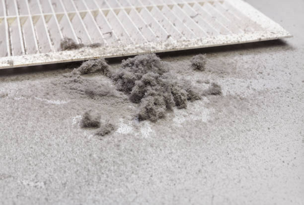 Best Best Air Duct Cleaning Company  in Port Byron, IL