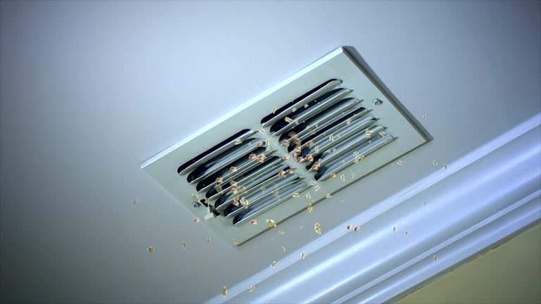 Best Air Duct Cleaning Company Near Me  in Port Byron, IL
