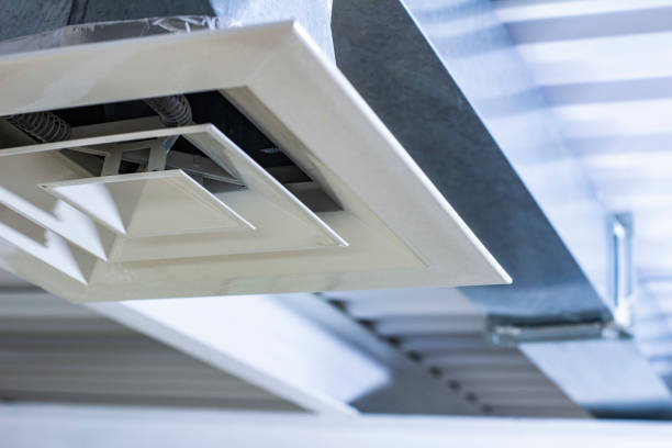Best Home Air Vent Cleaning  in Port Byron, IL