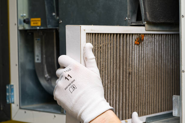 Best HVAC Air Duct Cleaning  in Port Byron, IL