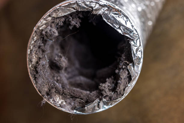 Best Affordable HVAC Duct Cleaning  in Port Byron, IL