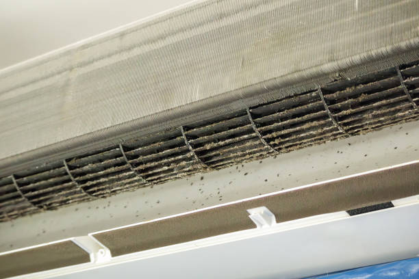 Best HVAC Maintenance and Cleaning  in Port Byron, IL