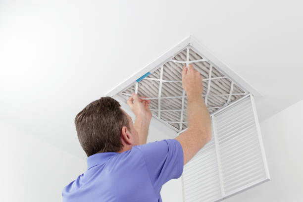 Best Residential Air Duct Cleaning  in Port Byron, IL